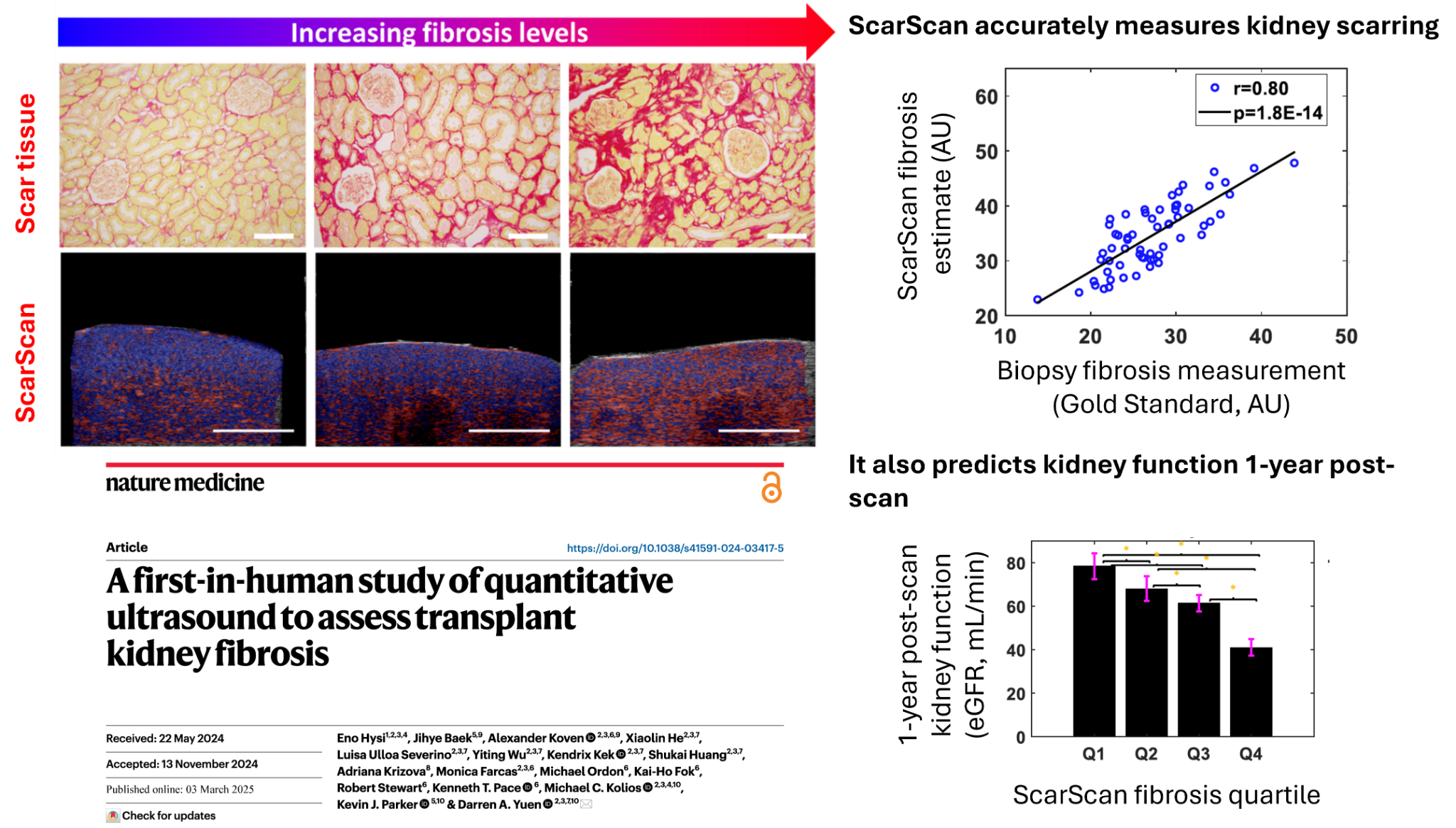 Composite evidence figure showing ScarScan images and biopsy-linked graphs
